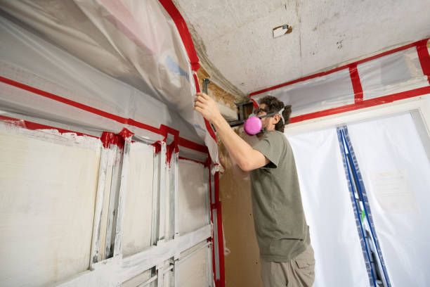 Best Mold Prevention Services  in Muhlenberg Rk, PA